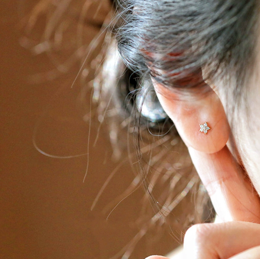 BOUCLE D'OREILLE HUDSON SHINE